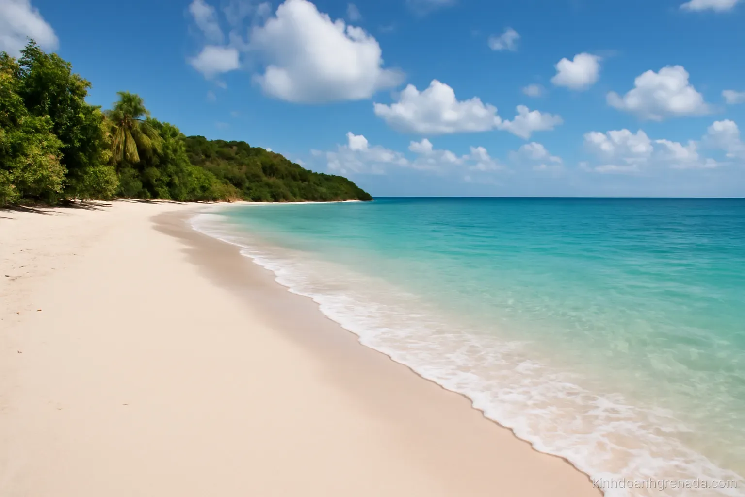 Tư vấn kinh doanh Grenada cho người Việt